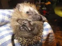 DSCF9607.webp