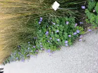 20150927_153935.webp