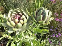 Bilda027.webp