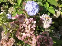 Bilda034.webp