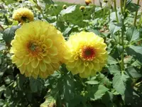 Bilda168.webp