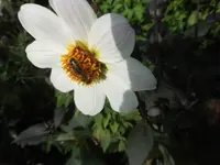 Bilda112.webp
