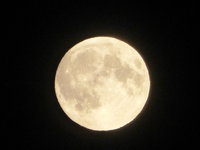 P1530718.webp
