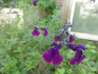 P1530404.webp