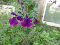 P1530405.webp