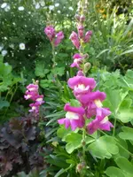 P1530450.webp