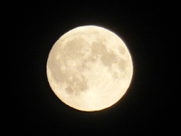 P1530717.webp
