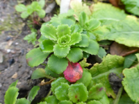 P1220328.webp