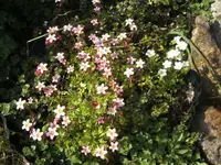BILD3928.JPG
