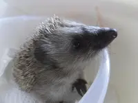 DSCF9611.webp