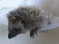 DSCF9619.webp