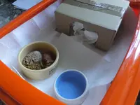 DSCF9624.webp