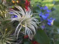 DSCF9515.webp