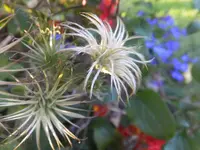 DSCF9516.webp