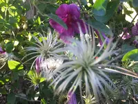 DSCF9524.webp