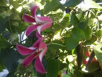 DSCF9526.webp