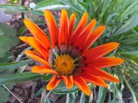 DSCF9535.webp