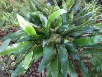 DSCF9542.webp