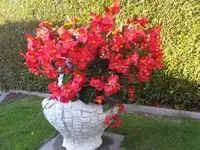 DSCF9534.webp