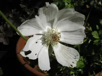 010_800x600.webp