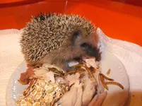 DSCF9644.webp