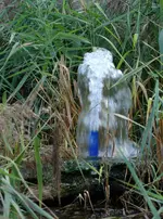blue (62).webp