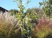 DSCF3614 (2).webp