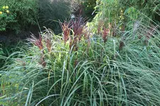 DSCF3620.webp
