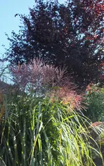 DSCF3621 (3).webp