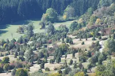 DSCF3567.webp