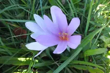 DSCF3542.webp