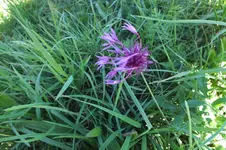 DSCF3573.webp