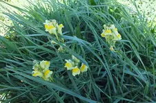 DSCF3574.webp