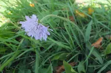 DSCF3589.webp
