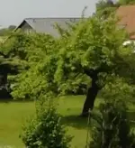 boskoop.jpg boskoop.jpg