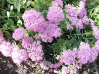 Bilda050.webp