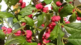 20150930_170459.jpg