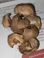 waldchampignon_576x768.webp