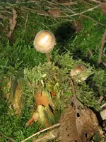 005_576x768.webp