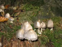 008_1024x768.webp