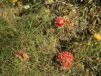 021_1024x768.webp