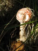 020_576x768.webp
