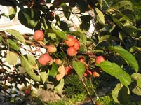020.webp