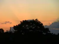 040.webp