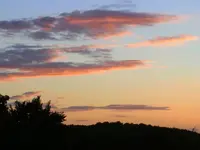 041.webp