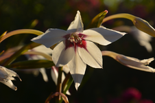 DSC_5693.webp