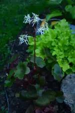 DSC_5696.webp