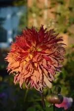 DSC_5707.webp