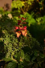 DSC_5713.webp