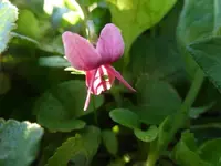 P1530830.webp